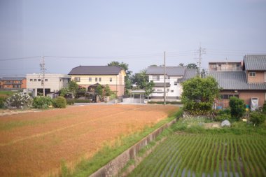 Pirinç puddy Japonya'da köyün ortasında