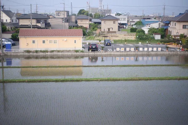 Ris puddy mitt i byn i Japan — Stockfoto