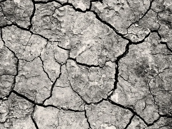 Primer plano del suelo agrietado, textura del suelo seco para el fondo —  Fotos de Stock