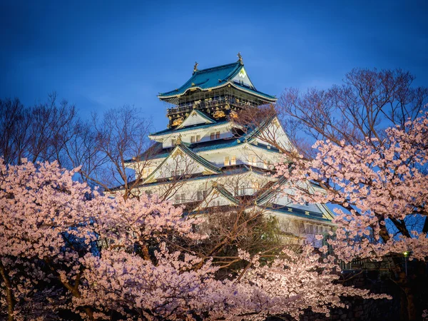 Osaka Kalesi kiraz çiçeği ağaçları (sakura) akşam arasında 