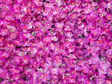 Artificial pink orchid backdrop wall