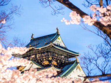 Osaka kalesi kiraz ağaçları arasında (sakura) akşam sahnesinde mavi gökyüzü ve ışık ile (bulanık dallar ve kiraz ağaçları ön planda seçici odak)