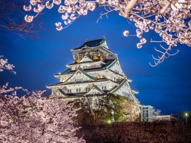 Osaka Kalesi kiraz çiçeği ağaçları (sakura) akşam arasında 