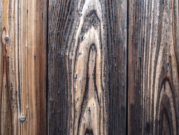 Textura vertical del panel de madera oscura vieja — Foto de Stock