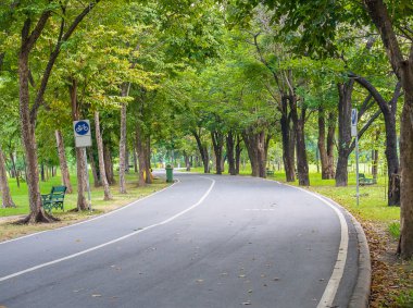 Park ve bisiklet lane yeşil ağaçların
