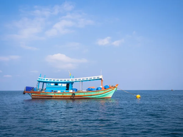 Park ve bisiklet lane yeşil ağaçların