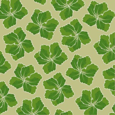 salata vektör desen, vektör arka plan, vektör doku