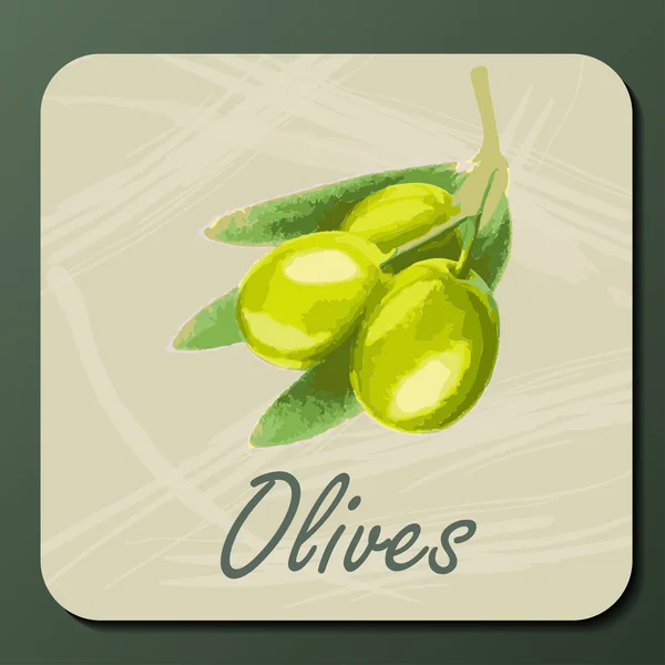 Oliva verde en una rama — Vector de stock