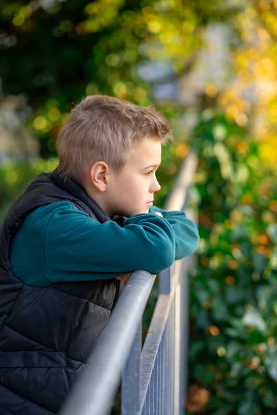 Metal bir çite yaslanan sevimli bir çocuk düşünceli bir şekilde sarı sonbahar yapraklarının arkaplanına bakar..