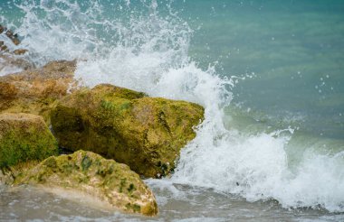 Tatlı su dalgaları İtalya 'nın Garda Gölü' ndeki su yosunlarıyla kaplı taşlara çarpar ve ünlü bir alp gölünün dramatik hareketlerini, dokularını ve doğal güzelliklerini gösterir.