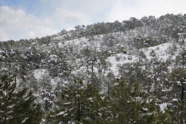 Kış, kar ile manzara