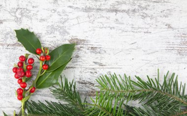Ahşap arka plan Christmas bitkilerde