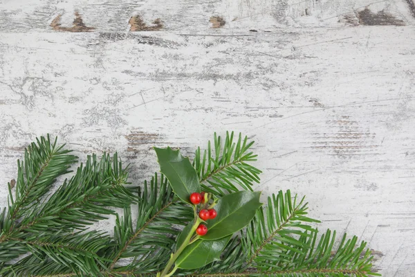 Weihnachtspflanzen im Holz-Hintergrund — Stockfoto