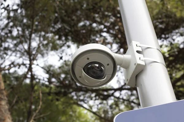 Güvenlik kamerası genel bir parkta — Stok fotoğraf