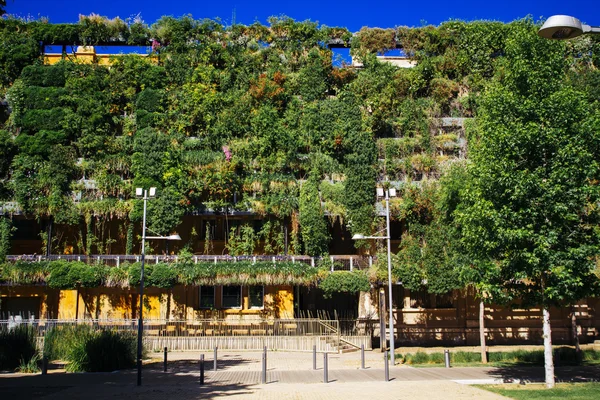 Edificio sostenible, con fachada verde — Foto de Stock