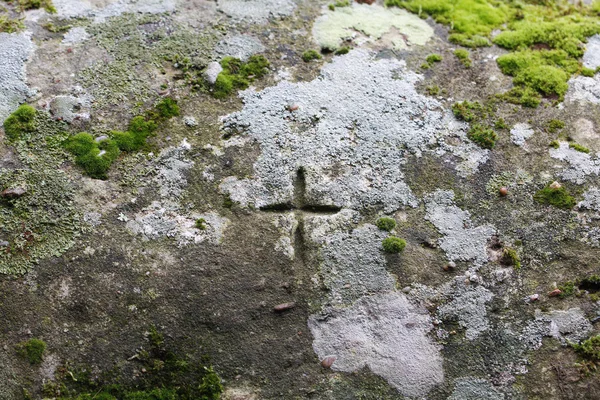 十字架刻在岩石上, 用苔藓 — 图库照片
