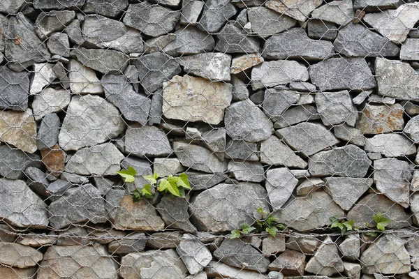 Taş duvar çelik tel ile gabion — Stok fotoğraf