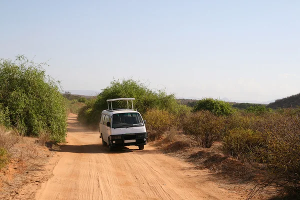 Conducir durante un safari — Foto de Stock