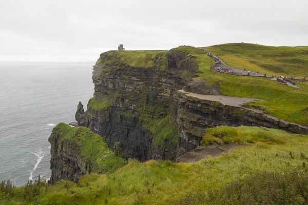 Στους βράχους του moher σε co. Clare, Ιρλανδία — Φωτογραφία Αρχείου