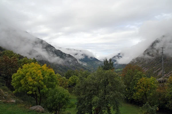 Zamlžené krajiny, se zelenými stromy — Stock fotografie