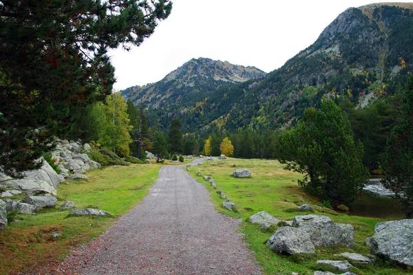 Sentiero nella natura, in autunno — Foto Stock