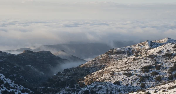 冬で山に霧の風景 — ストック写真