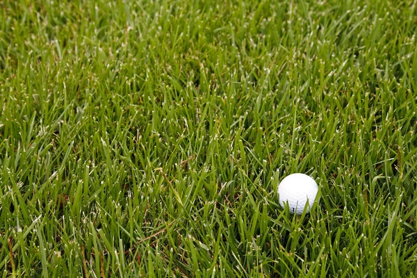 Bola de golfe na grama — Fotografia de Stock