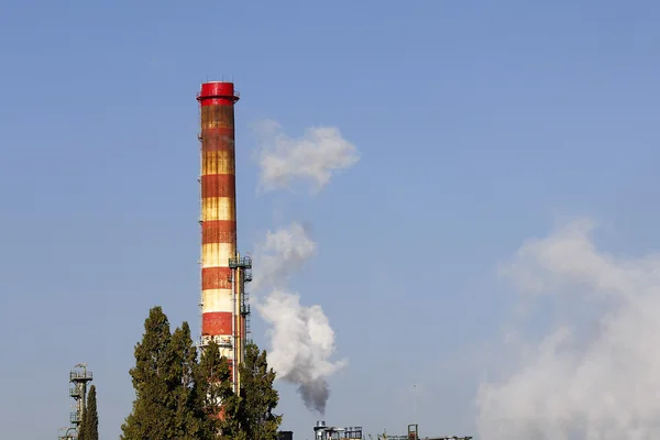 Высокий дымоход и дерево на нефтеперерабатывающем заводе — стоковое фото