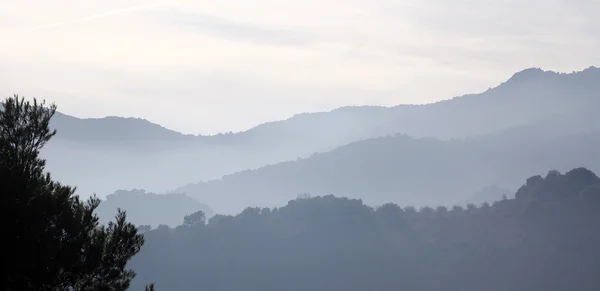 冬の朝の霧の山 — ストック写真