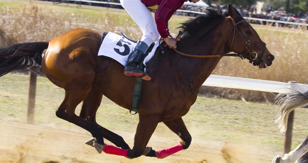 Fantino cavalcando un cavallo durante una gara — Foto Stock