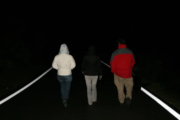Három ember gyalog éjjel — Stock Fotó
