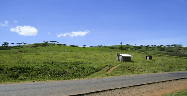 Zöld táj-Kenyában, Afrika — Stock Fotó