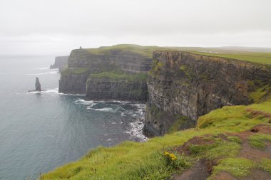 İrlanda 'daki Moher Kayalıkları