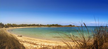 Yaz deniz manzarası: Torre Guaceto.Brindisi Doğa Rezervi (Apulia)-İtalya-Akdeniz makileri: kara ve deniz arasında bir doğa kutsal.