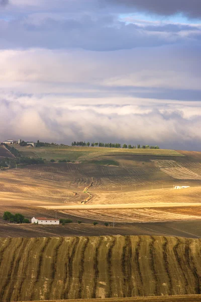 Apulia ve Basilicata arasında: kırsal sonbahar manzara. İtalya