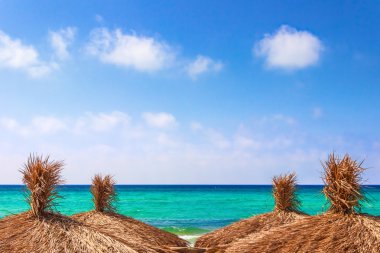 Yaz. Apulia deniz: şemsiye rüzgarda. Tatil, sahil.-İtalya-