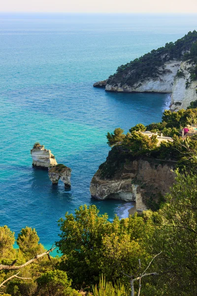 İtalya: Baia dei Mergoli beach (Apulia) en güzel kıyıları. Plajlar brigthly beyaz karstik kayalıklarla, zümrüt-mavi deniz, yeşillikler zeytin-ağaç, çam ormanları ile nefes kesen bir manzaralıdır. — Stok fotoğraf