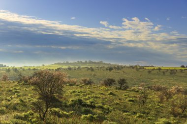 Bahar. Alta Murgia Milli Parkı: hills sabah sis kefen. Apulia-İtalya-