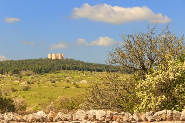 Bahar manzara: Alta Murgia National Park.In arka plan Castel del Monte.Apulia,Italy.