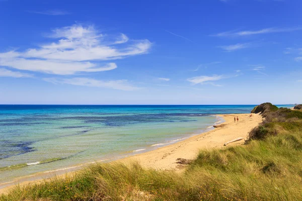 Zomer zeegezicht: het regionale natuurlijke Park Duin Costiere.Brindisi (Apulië)-Italië- — Stockfoto