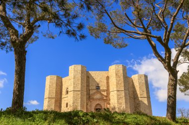Apulia.Castel del Monte taşlarının: Ana cephe.-İtalya (Andria)-