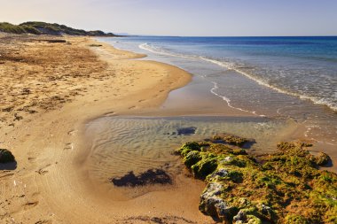 Bölge doğal parkı Dune Costiere.Brindisi (Apulia)-İtalya-