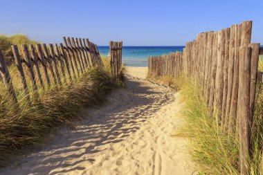 Bölgesel doğal Park Dune Costiere (Torre Canne): deniz tepeleri çit. Brindisi (Apulia)-İtalya- 