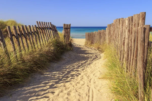 Il Parco Naturale Regionale Dune Costiere (Torre Canne): recinzione tra dune di mare. BRINDISI (Puglia) -ITALIA - — Foto Stock