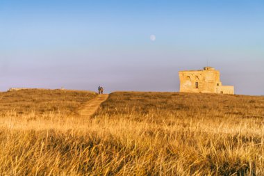 Yaz manzara: Torre Guaceto.Brindisi (Apulia) - İtalya - bir doğa rezerv Akdeniz maki: Kara ve deniz arasında bir doğa kutsal.