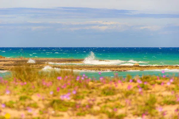 Lente zeegezicht: kustlijn met kliffen en bloeiende duinen, Italië. Torre Santa Sabina strand, Apulië. — Stockfoto