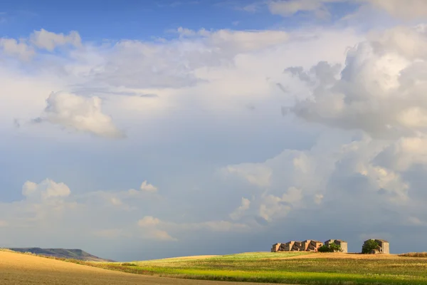 Mellan Apulien och Basilicata: bondgårdar övergiven i ett vetefält. Italien. — Stockfoto