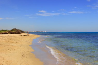 Bölge doğal parkı Dune Costiere. (Apulia) İtalya. Uzaktan şehrin Torre Canne görebilirsiniz.