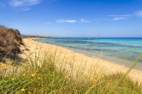 Het regionale natuurpark Dune Costiere. (Apulië) Italië. — Stockfoto