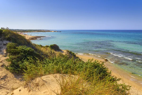 Playa de verano.Reserva Natural Torre Guaceto: vista panorámica de la costa desde las dunas . —  Fotos de Stock